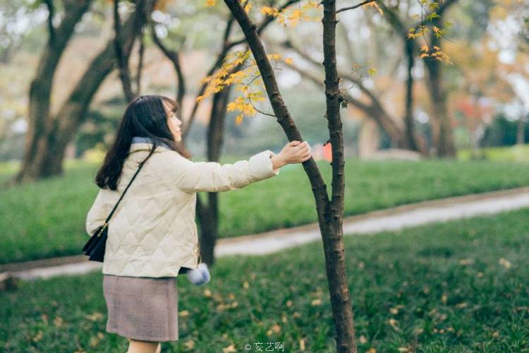 摄影师妄艺-重庆市·重庆市·南岸区-微博+图虫-轻微审颜，性格活泼开朗，话唠一点