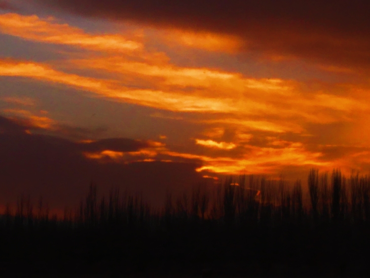 Mia-新疆维吾尔自治区·喀什地区·莎车县--我本人比较喜欢拍日出日落的照片，初次发作品，希望大家喜欢。谢谢大家