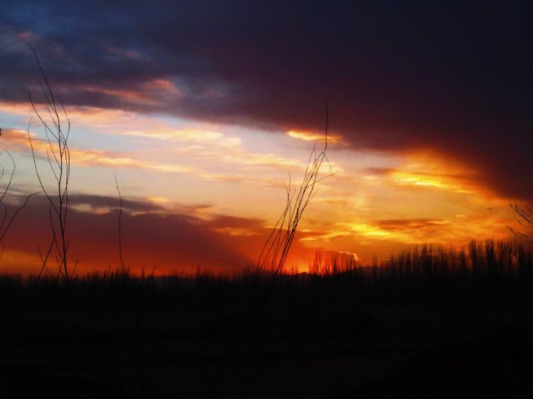 Mia-新疆维吾尔自治区·喀什地区·莎车县--我本人比较喜欢拍日出日落的照片，初次发作品，希望大家喜欢。谢谢大家