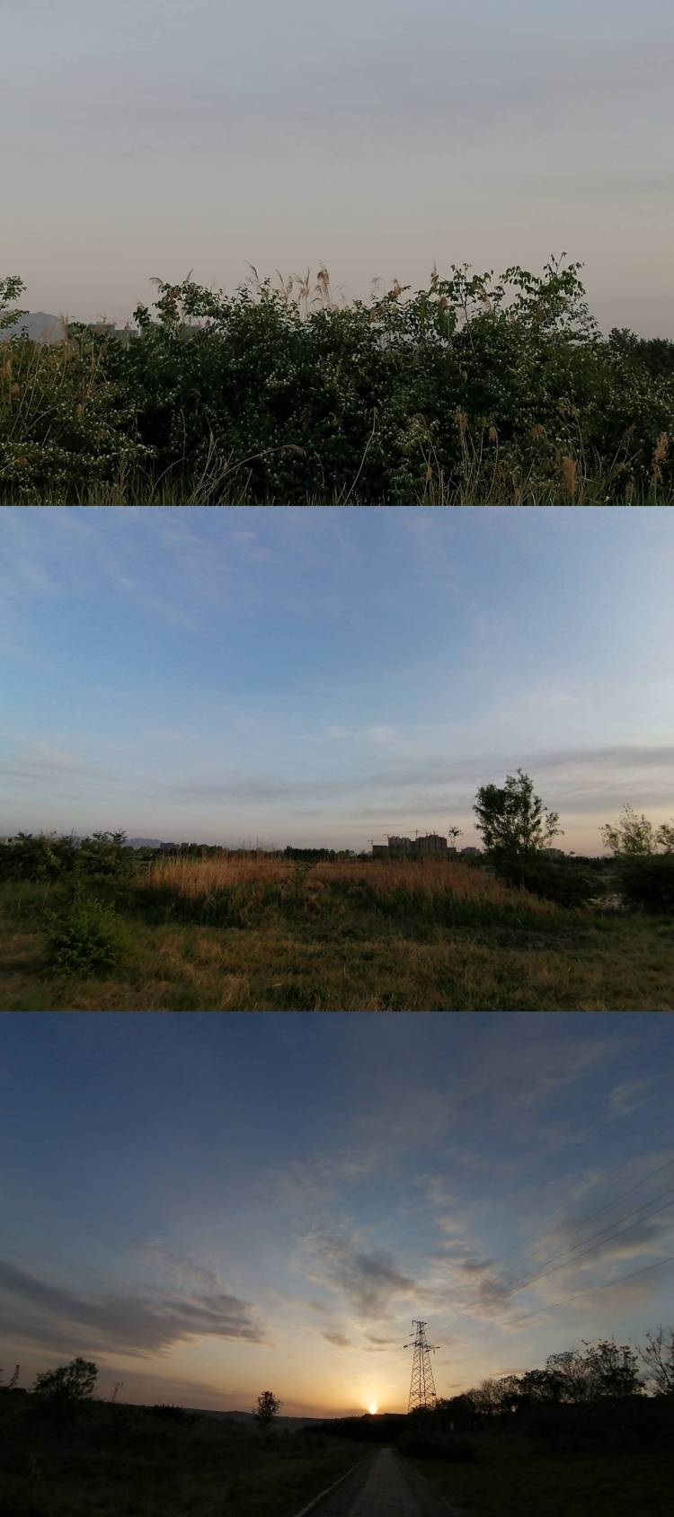 圆圆崽崽.-河南省·郑州市·巩义市--“螃蟹在剥我的壳 笔记本在写我 漫天的我落在枫叶上雪花上 而你在想我＂如果世界颠倒你才会想我。但可惜的是螃蟹不会在剥我的壳，笔记本不会在写我，我不会落在枫叶和雪花上，你也不会想我。