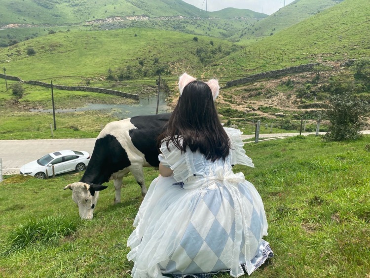 南山牧场-湖南省·邵阳市·新宁县-lolita风格 位于湖南邵阳市城步是中国南方最大的现代化牧场