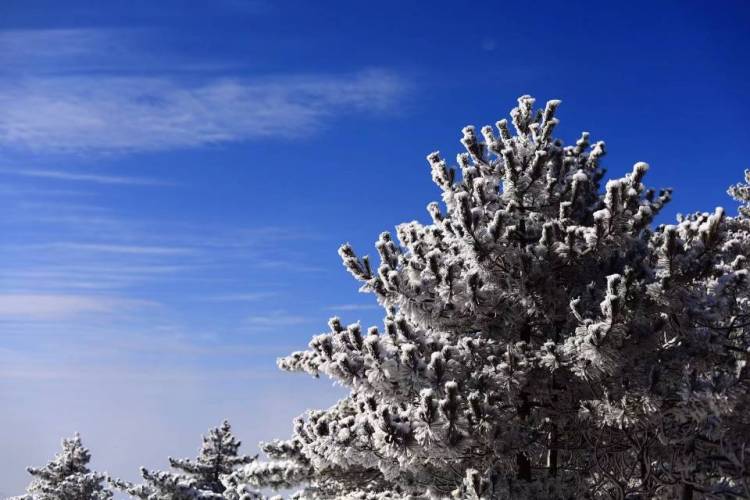 黄山风景区-安徽省·黄山市·黄山区-“天下第一奇山”黄山，五岳归来不看山，黄山归来不看岳，盛名之下无虚士，一片白雪皑皑，美不胜收