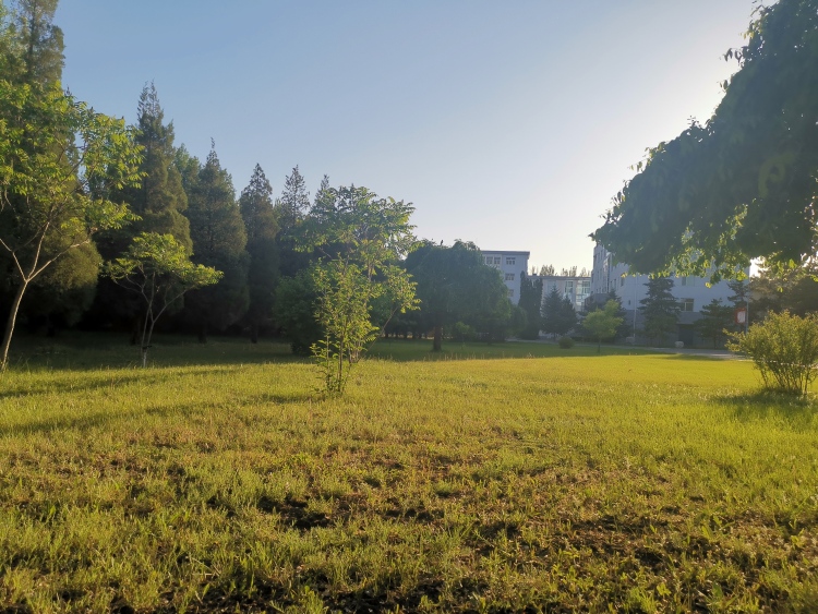 内蒙古农业大学职业技术学院-内蒙古自治区·包头市·土默特右旗-很不错，各种各样的绿植，很原生，可以日系风，英伦风都可以，本人可寄拍，约拍，开箱测评等