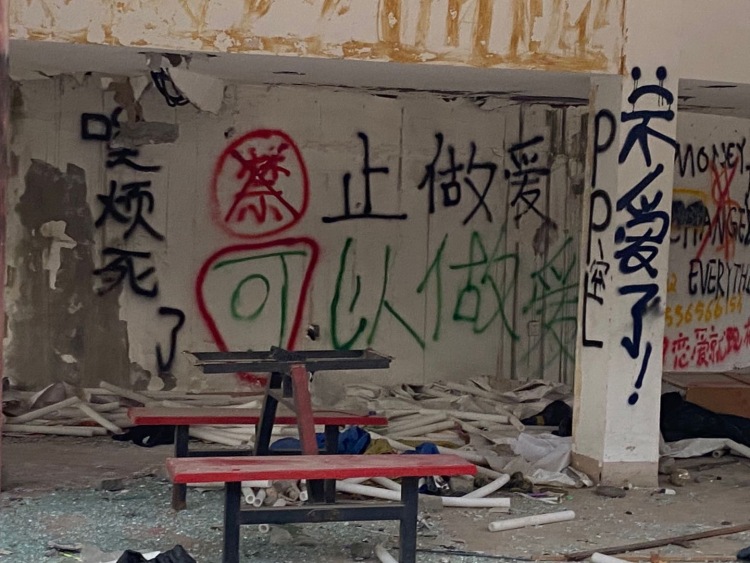 世纪欢乐园-河南省·郑州市·中原区-是一个废弃游乐园，部分设施还在，拍照很有感觉，有黑暗童话的感觉，从门口就可以进去，里面有好看的涂鸦墙，非常出片
