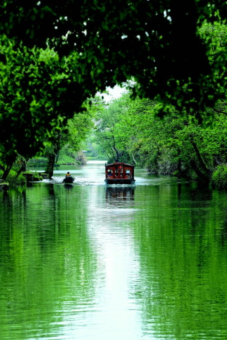 西溪国家湿地公园-浙江省·杭州市·西湖区-西溪湿地水横纵错,环境清幽,水道如巷、河汊如网,鱼塘栉比、诸岛棋布,每个季节都有不同景色,值得一去的!
适合拍摄古风,汉