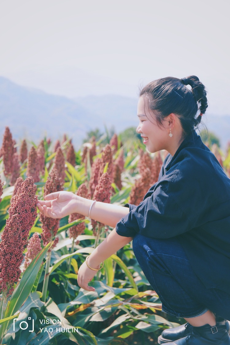 黑山顶-浙江省·杭州市·富阳区-在很高的山顶，车子可以直接开上去，晴天去很棒，蓝天、白云、红高粱，拍照特别好看