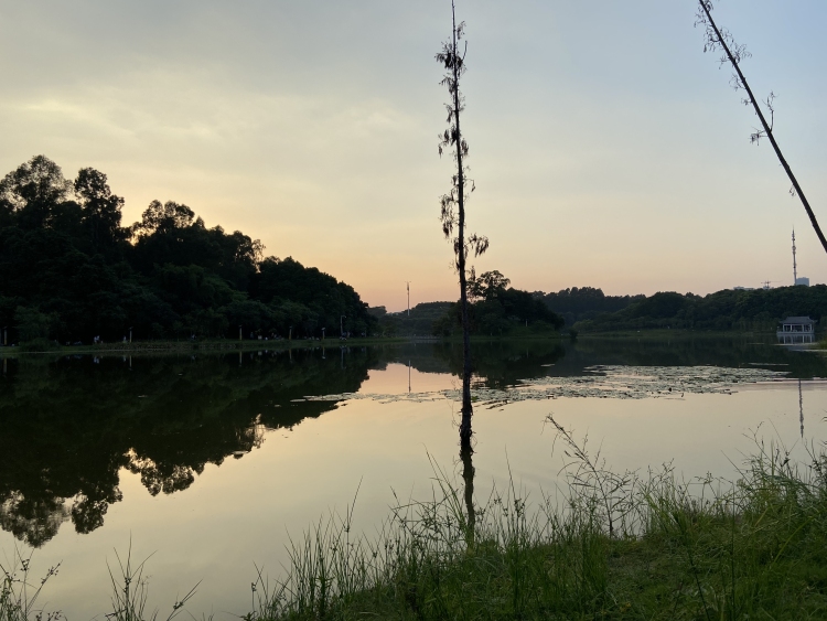 中心湖公园-广东省·广州市·番禺区-广州大学城中心湖，适合校园，青春，爱情，下午光线充足，学生等年轻人众多，而且现在的时节天气环境等都不错，还有停车场旁还有