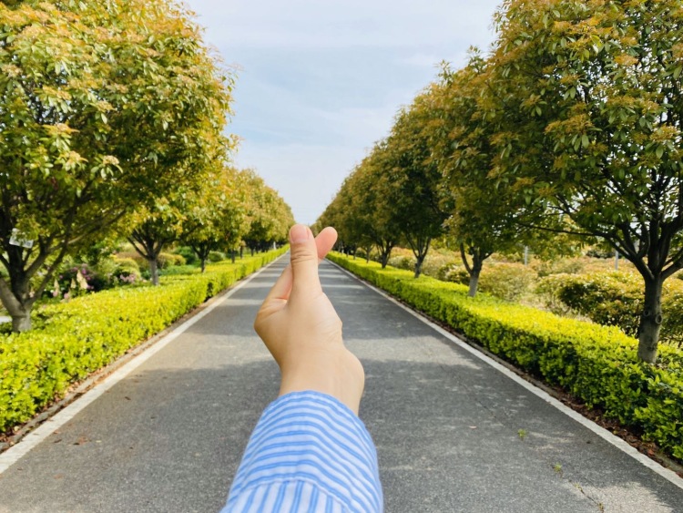 东西湖郁金香主题公园-湖北省·武汉市·东西湖区-郁金香🌷公园👉打卡
美丽的薰衣草🌹绿绿的草坪 ☘️
三月份已经过了看郁金香的季节
只有到处溜达溜达
公园很大 树很多