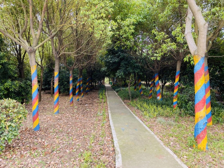 东西湖郁金香主题公园-湖北省·武汉市·东西湖区-郁金香🌷公园👉打卡
美丽的薰衣草🌹绿绿的草坪 ☘️
三月份已经过了看郁金香的季节
只有到处溜达溜达
公园很大 树很多